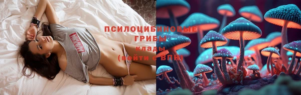 крисы Абдулино