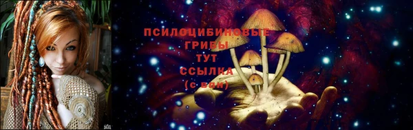 2c-b Абаза